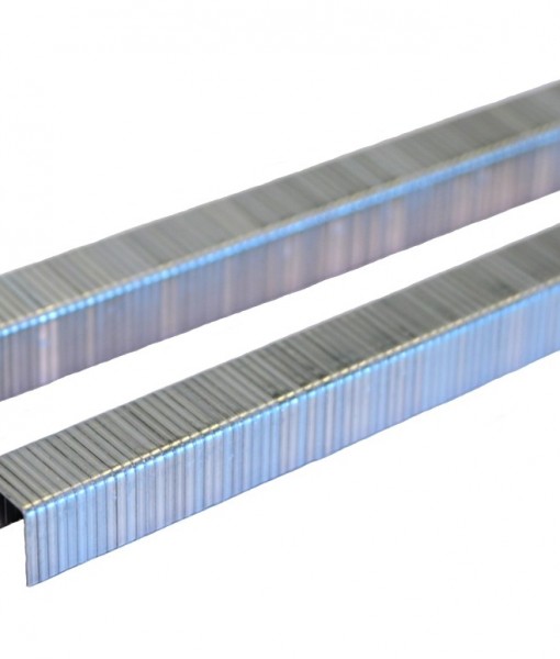 20_gauge_t50_series_staples.jpg