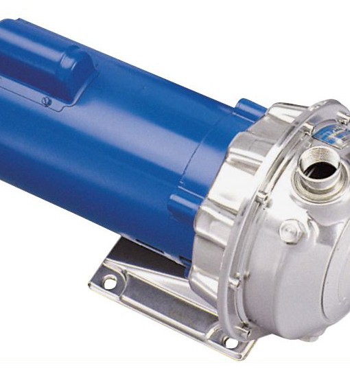 Goulds-NPE-316l-SS-Series-Pumps